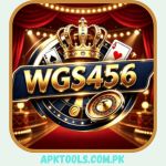 Download WGS456 Game APK for Android